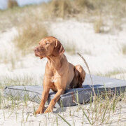Coussin déhoussable Be Nordic gris