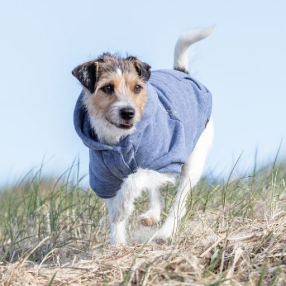 Sweat Be Nordic bleu