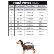 Milk & Pepper Manteau Blizz gris