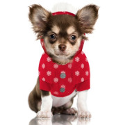 Milk & Pepper Sweat Flake rouge