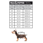 Milk & Pepper Pull Genious gris