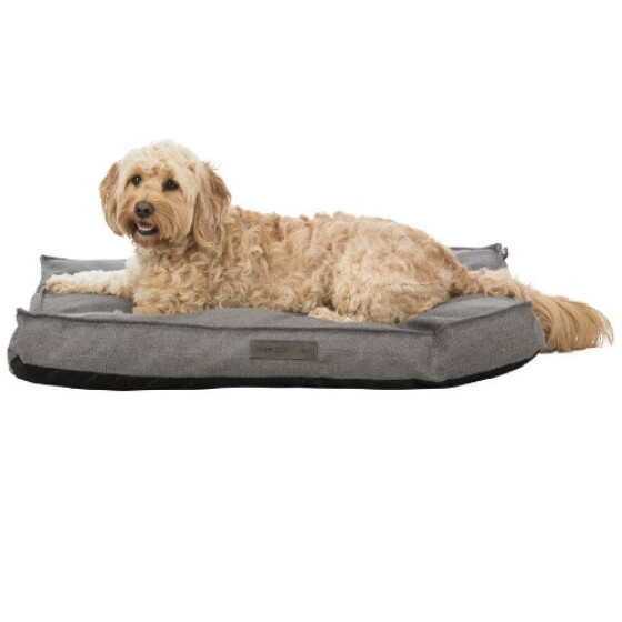 Coussin Talis Gris chien - déhoussable, taille XXL