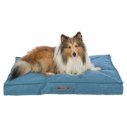 Coussin Talis bleu déhoussable