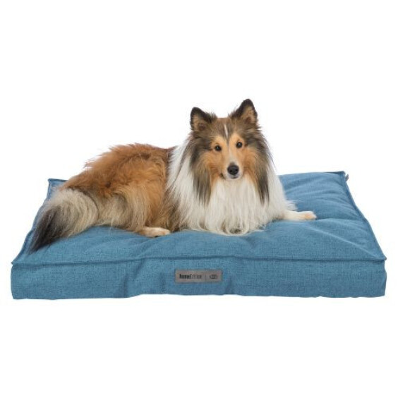 Coussin Talis bleu déhoussable