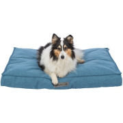 Coussin Talis bleu déhoussable