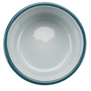 Set d'écuelles orthopédiques pour chien et chat