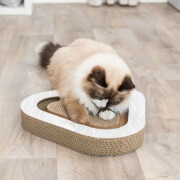 Plaque griffoir avec carton et  balles pour chat