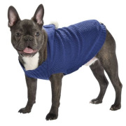 Pull bleu