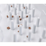 Jeu d'intelligence Fun Board pour chat