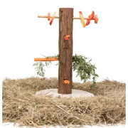 Tronc d'arbre avec aliments Natural living