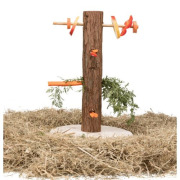 Tronc d'arbre avec aliments