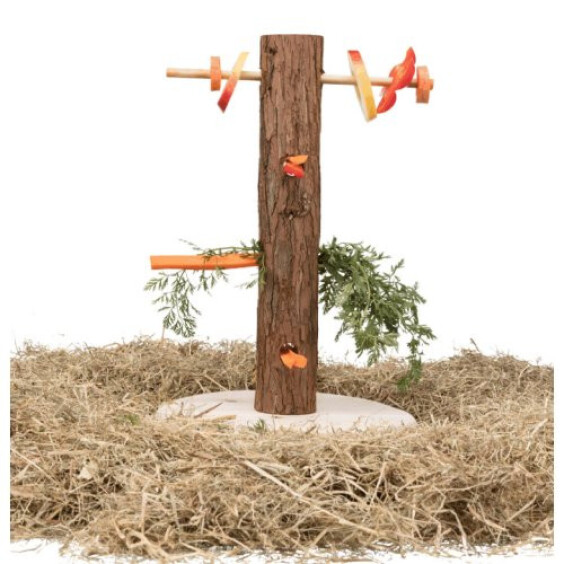 Tronc d'arbre avec aliments