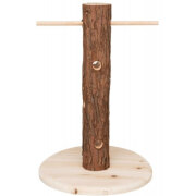 Tronc d'arbre avec aliments Natural living