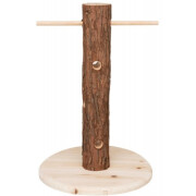 Tronc d'arbre avec aliments Natural living