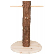 Tronc d'arbre avec aliments