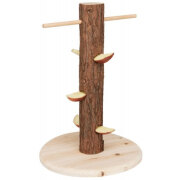 Tronc d'arbre avec aliments Natural living