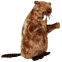 Peluche doudou Castor 40 cm
