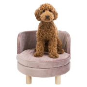Canapé Livia rose pour chien