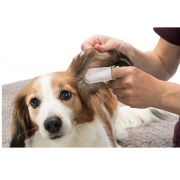 Doigtiers nettoyants pour les oreilles