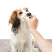 Doigtiers Dental Care pour les dents