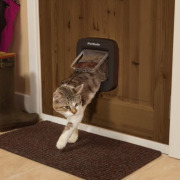 Chatière avec puce électronique Staywell PetSafe