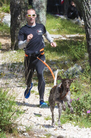 Ceinture canicross baudrier One orange