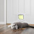 PetSafe porte 4 positions luxe blanche
