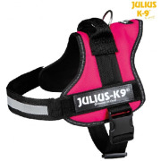 Julius K9 Harnais Power Fushia
