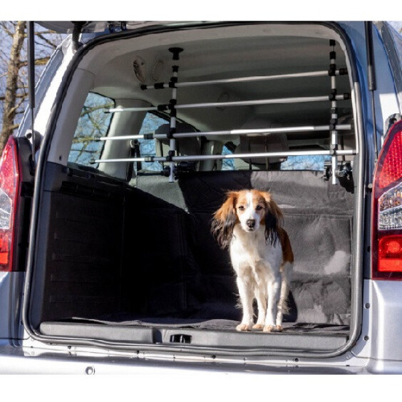 Protection pour coffre de voiture en aluminium