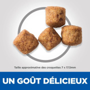 Hill's Science Plan croquettes Adult Perfect Weight Large 12 kg