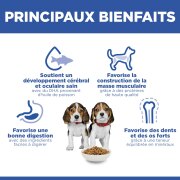 Hill's Science Plan croquettes Canine Puppy Medium Poulet