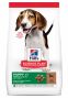 Hill's Science Plan croquettes Canine Puppy Medium Agneau & Riz sac de 12 kg
