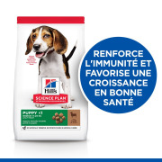 Hill's Science Plan croquettes Canine Puppy Medium Agneau & Riz sac de 12 kg