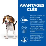 Hill's Science Plan croquettes Canine Puppy Medium Agneau & Riz sac de 12 kg