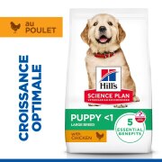 Hill's Science Plan croquettes Canine Puppy Large Breed Poulet sac de 12 kg