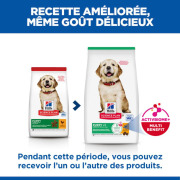 Hill's Science Plan croquettes Canine Puppy Large Breed Poulet sac de 12 kg