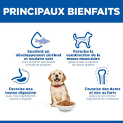 Hill's Science Plan croquettes Canine Puppy Large Breed Poulet sac de 12 kg