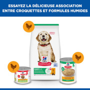 Hill's Science Plan croquettes Canine Puppy Large Breed Poulet sac de 12 kg