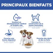 Hill's Science Plan croquettes Puppy Small & Mini Poulet