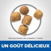 Hill's Science Plan croquettes chat Urinary Health