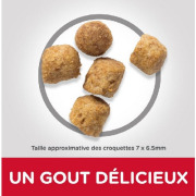 Hill's Science Plan croquettes pour chat mature Sensitive Stomach & Skin sac de 1,5 kg