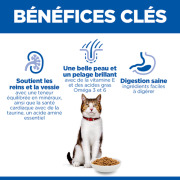 Hill's Science Plan croquettes pour chat senior poulet