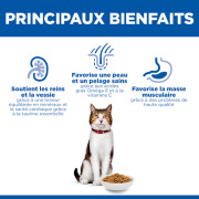 HILL'S Science Plan Mature Adult 7+ pour chat senior au saumon 1,5 kg