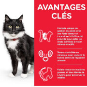 HILL'S Science Plan croquettes pour chat senior stérilisé