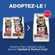 Hill's Science Plan croquettes Feline Hairball Perfect Coat chat