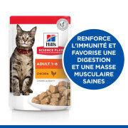 HILL'S Science Plan Adult pour chat adulte au poulet et à la dinde 12 x 85 g