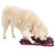 Tapis Sniffing Carpet de fouille pour chien et chat Level 1
