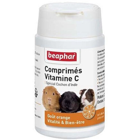 Vitamine C pour cochon d'Inde