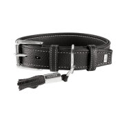 Collier chien Cannes noir