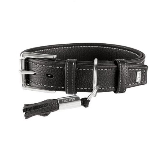 Collier pour chien Cannes noir Hunter